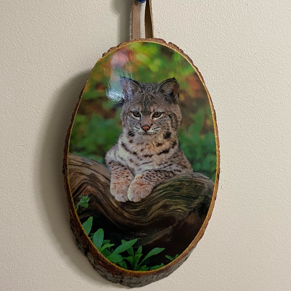 * LAST CHANCE* Ponderosa Ranch Bob Cat Log Slice Wall Art